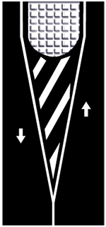 Soru görseli