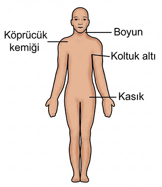 Soru görseli